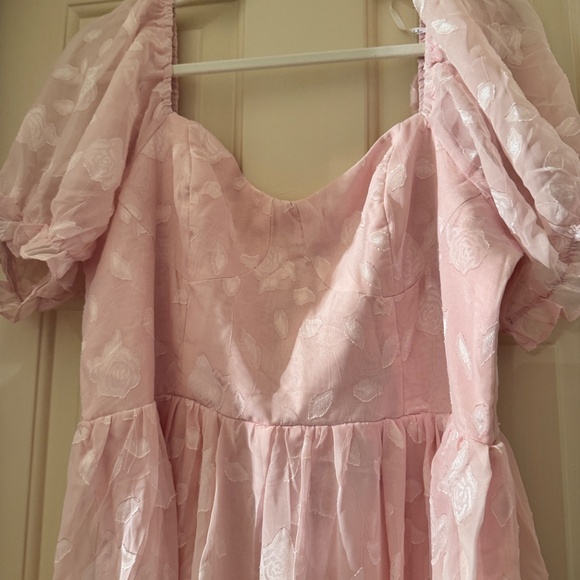 Pink Floral Burnout Bustier Maxi Dress - Picture 4 of 5